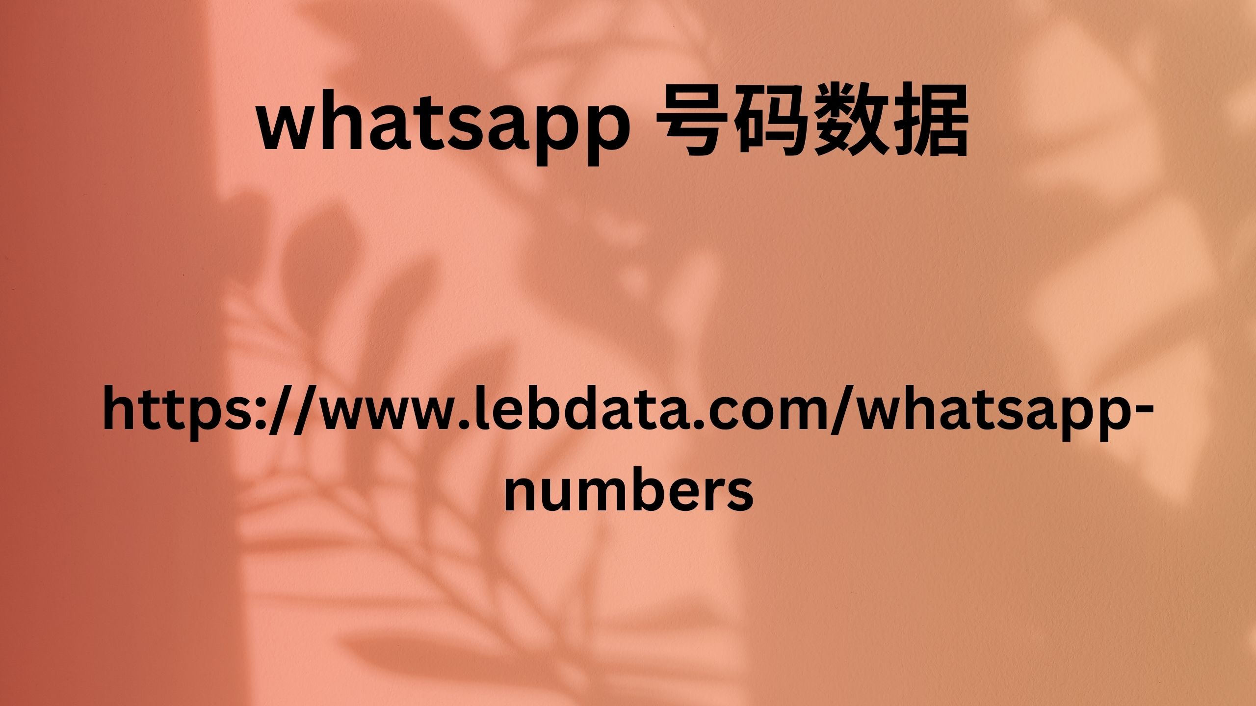 whatsapp 号码数据