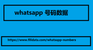 WhatsApp 号码数据